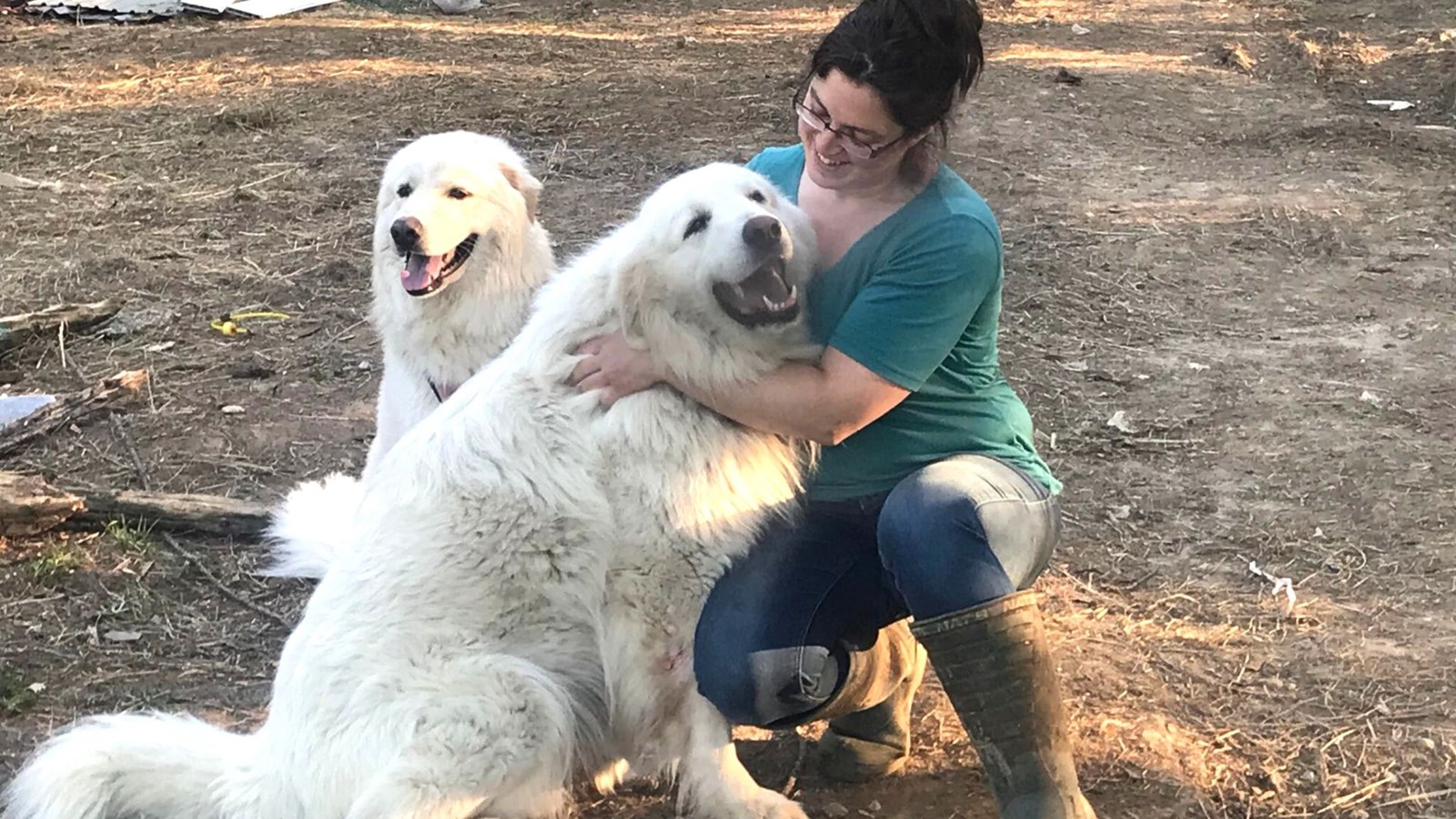Martine Boulet ouvre les portes de sa ferme pour remercier ceux qui l'ont soutenue