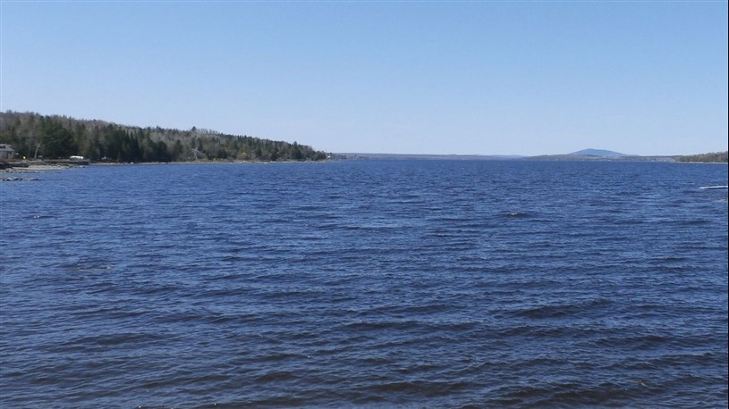 Population de dorés dans le Grand lac Saint-François: une diminution «inacceptable»