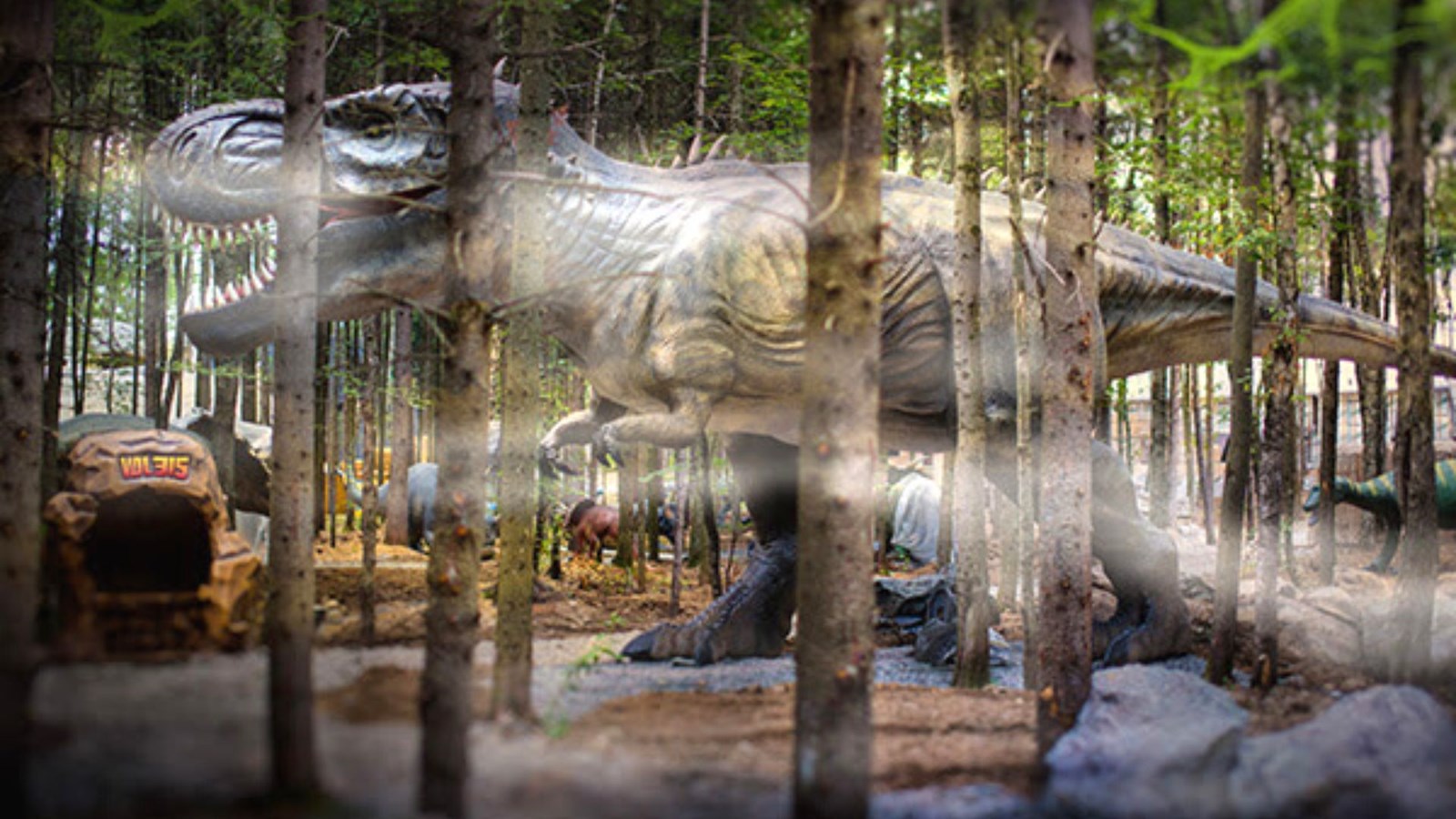 Un investissement de 700 000 $ au Woodooliparc