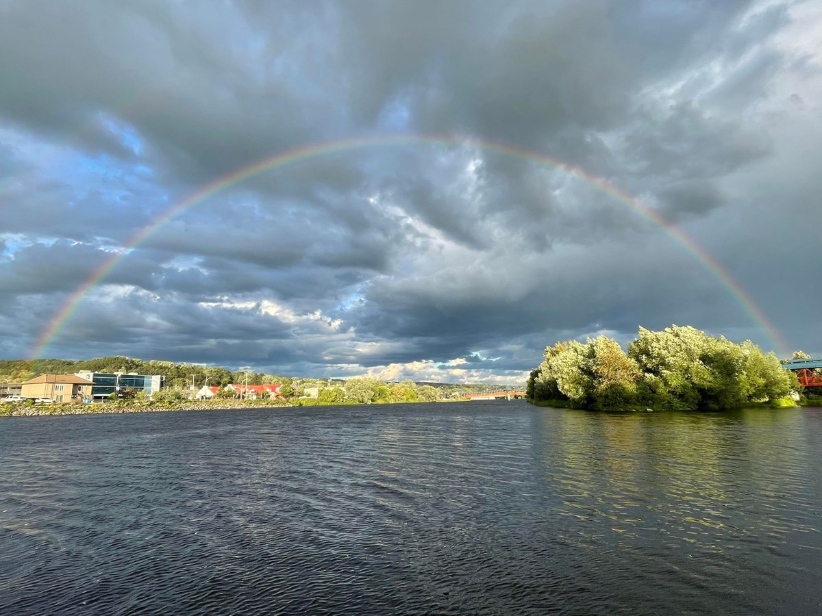 À travers la lentille de notre photojournaliste