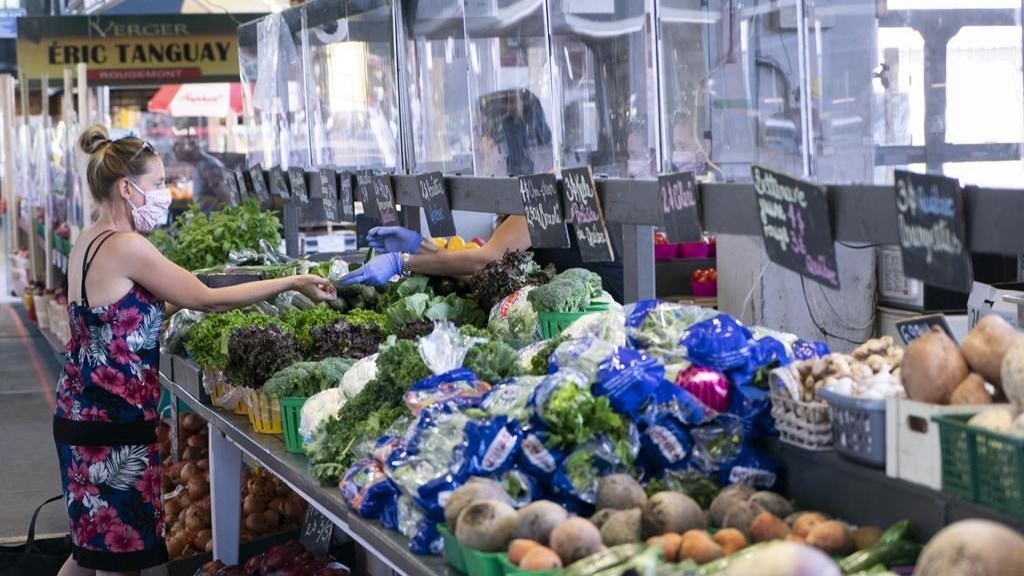 Le Québec pourrait gérer tout son plexiglas post-pandémie