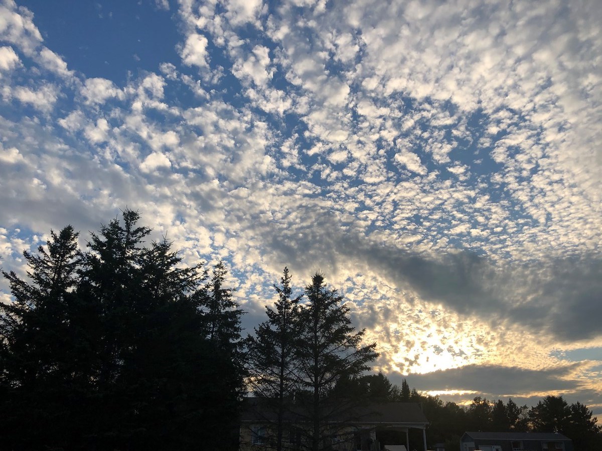 Galerie 6: le ciel en vedette