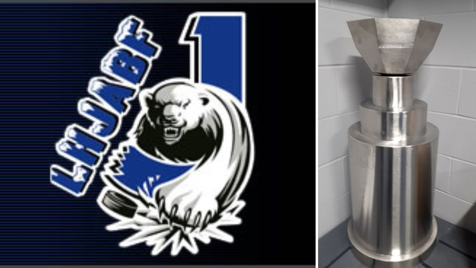 Bris de la coupe LHJABF: les joueurs s'excusent et paient la note