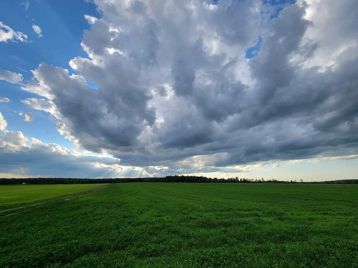 Galerie 7: le ciel en vedette