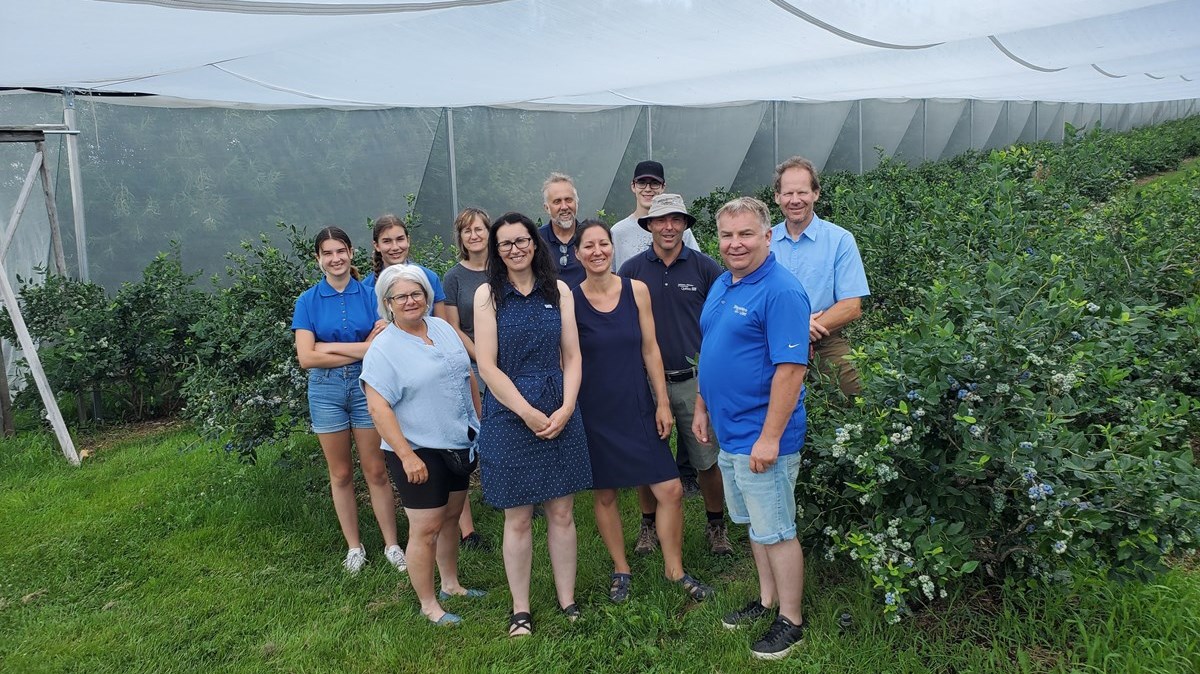 La saison des bleuets est lancée!