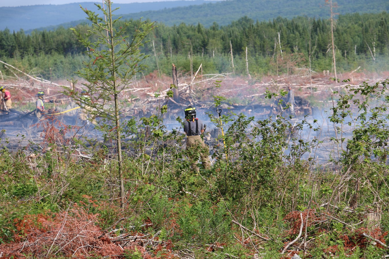 Un deuxième mois avec un petit nombre d'incendies de forêt