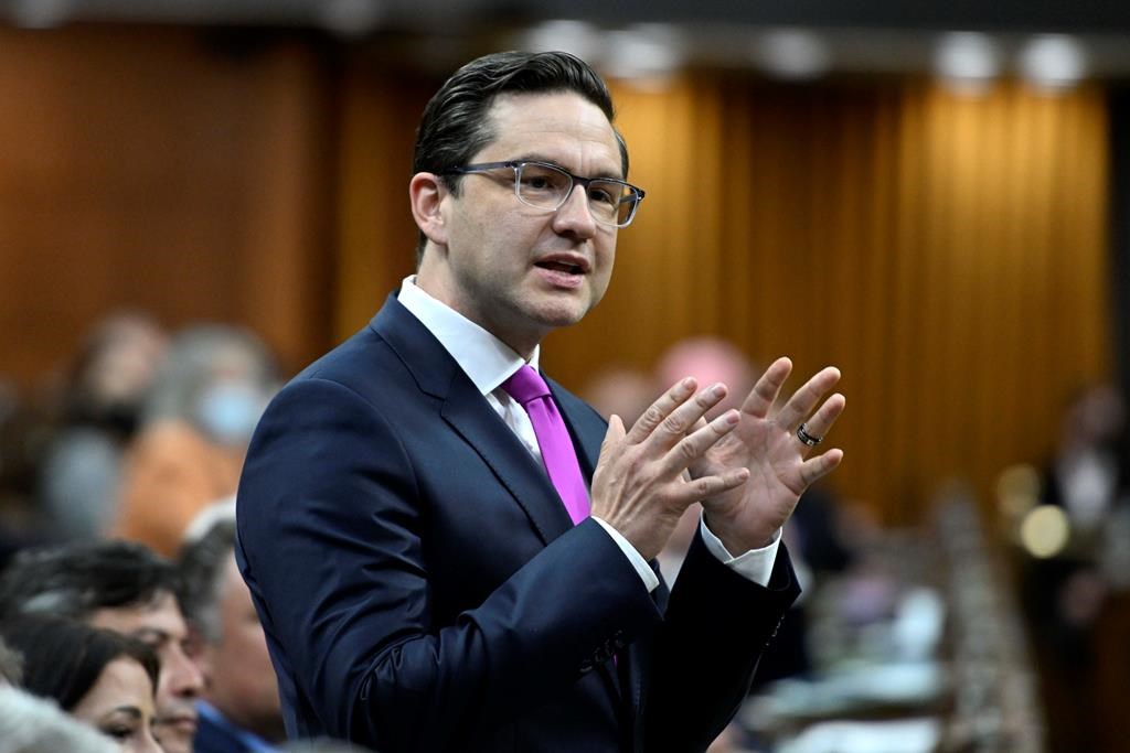 Sondage: Poilievre est favorisé par les conservateurs, mais pas de tous les Canadiens