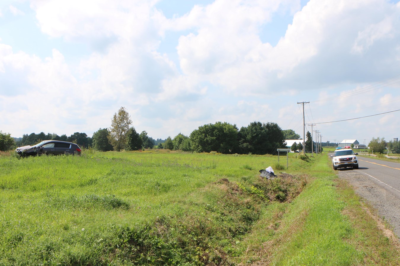 Un véhicule percute un chevreuil à Saint-Bernard