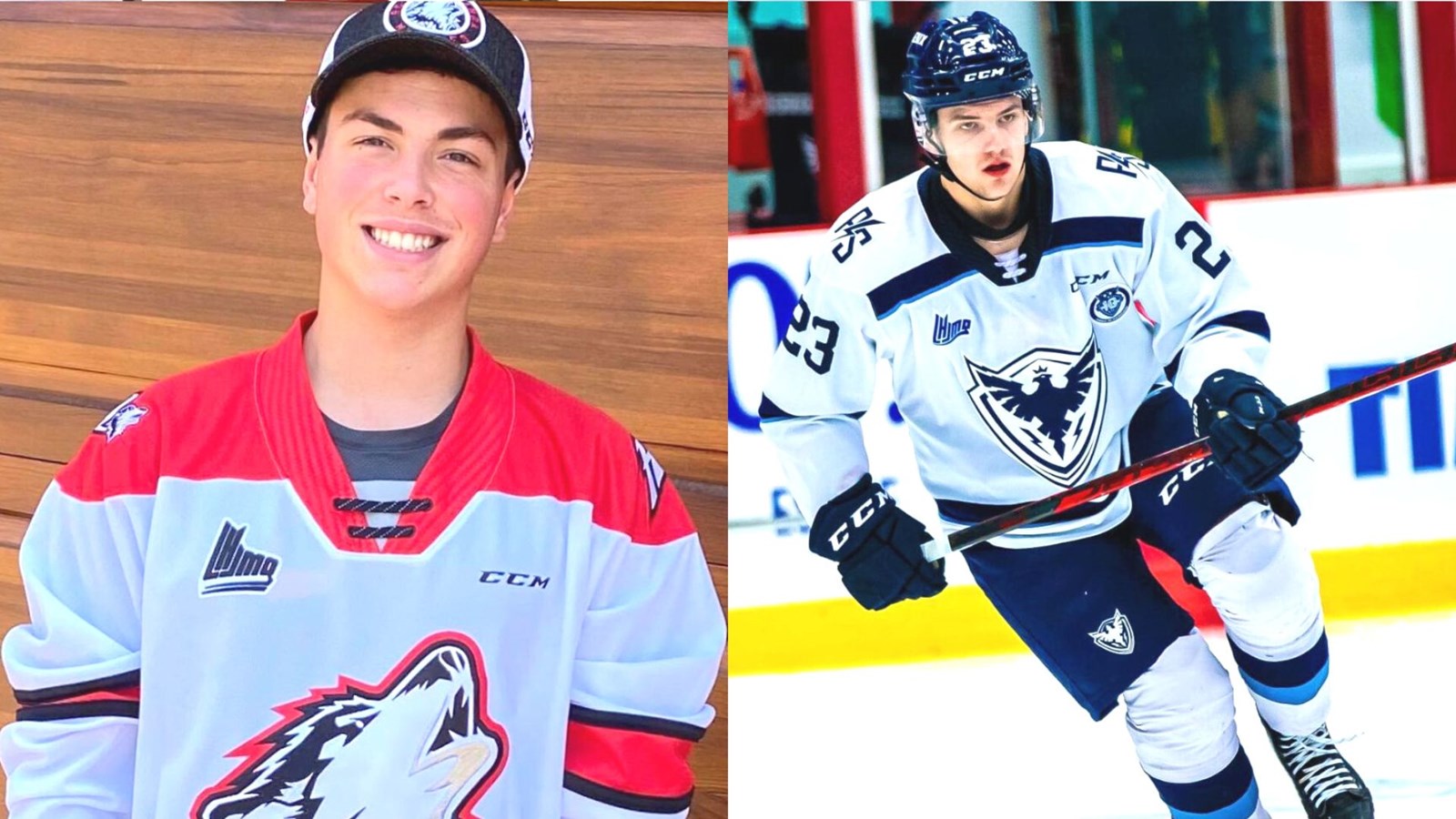 Hockey: les Condors reprennent l'action avec de nouveaux visages