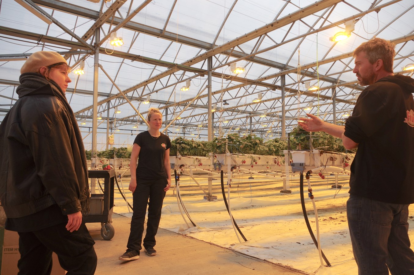 Un parcours éducatif sur la sécurité alimentaire