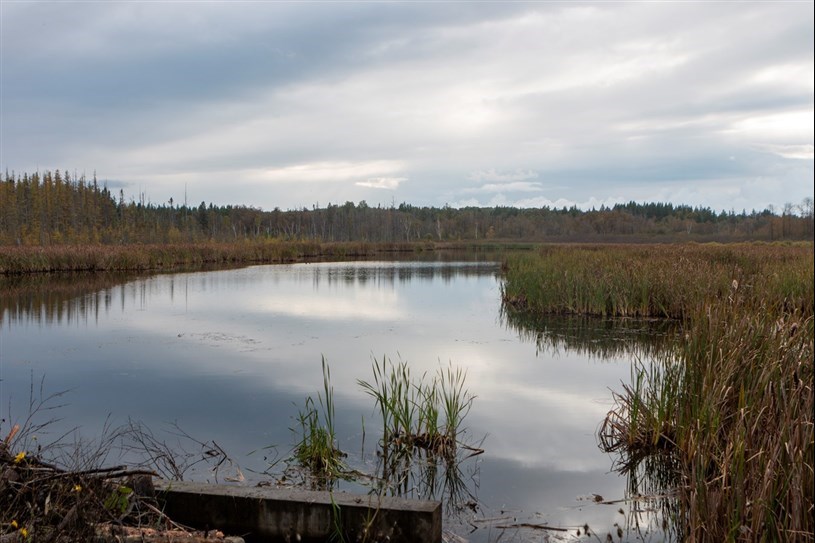 La Réserve naturelle de la Cumberland a besoin de votre aide