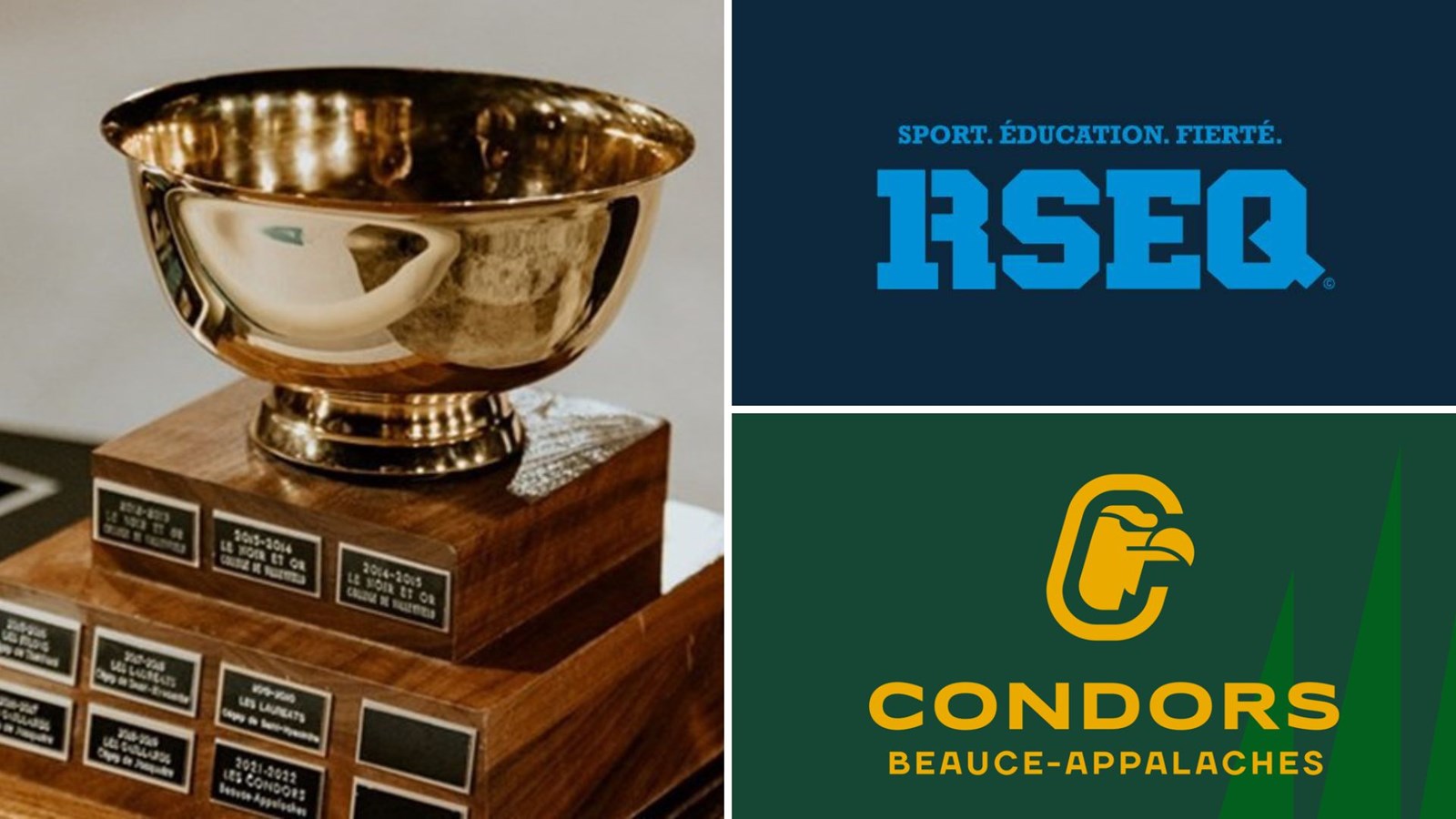 Bol d'Or : le RSEQ allège les sanctions données aux Condors football