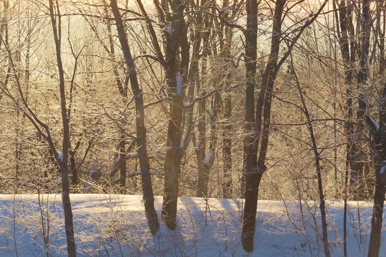 Galerie 2 : vos paysages hivernaux