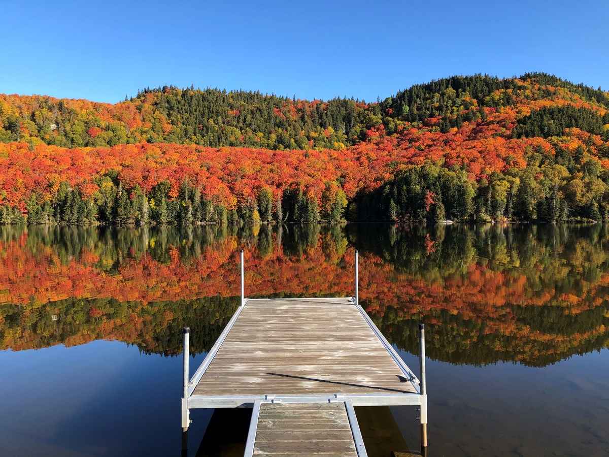 Appel photo: l'automne aux milles couleurs