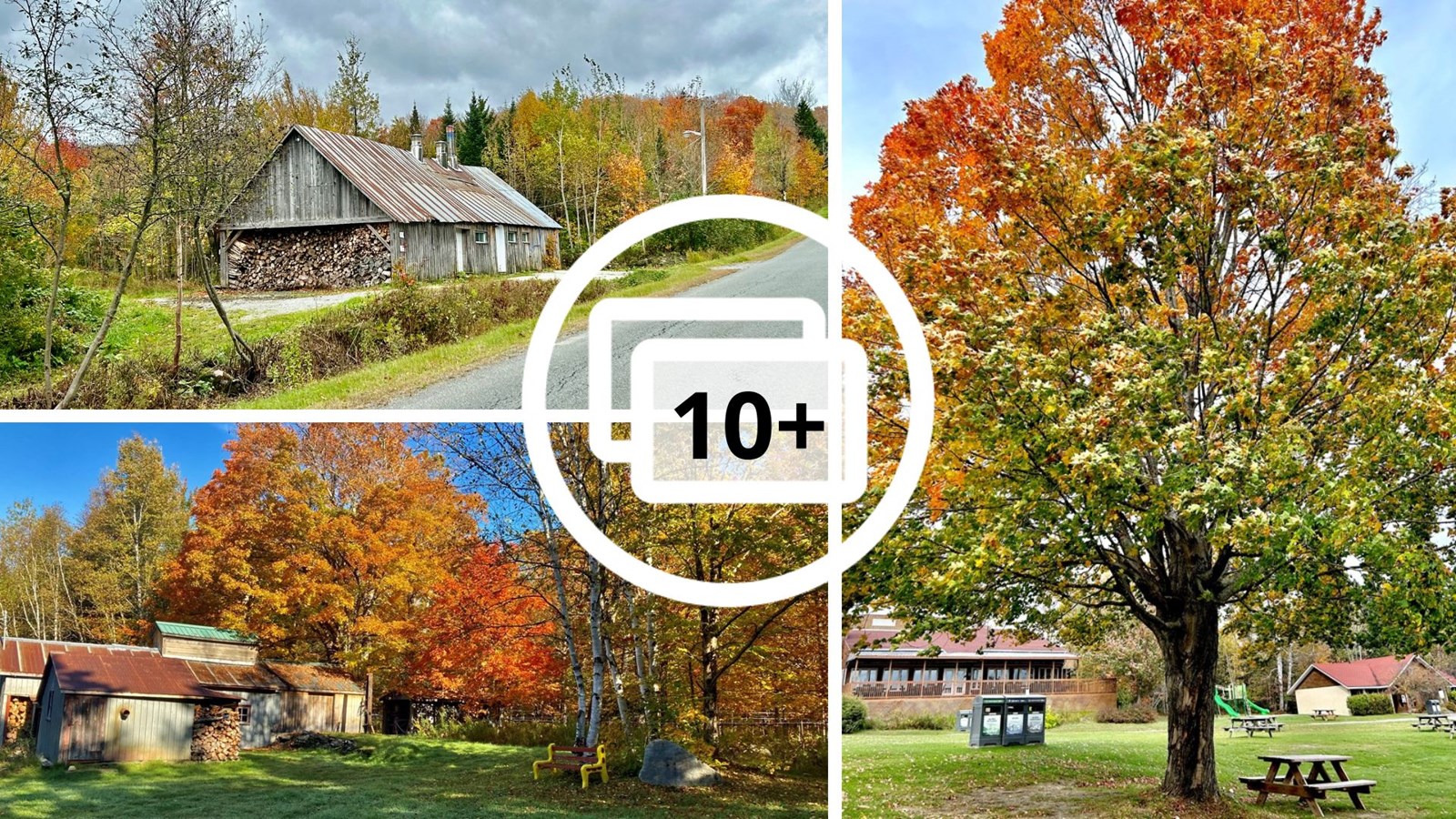 Galerie 1: l'automne aux mille couleurs