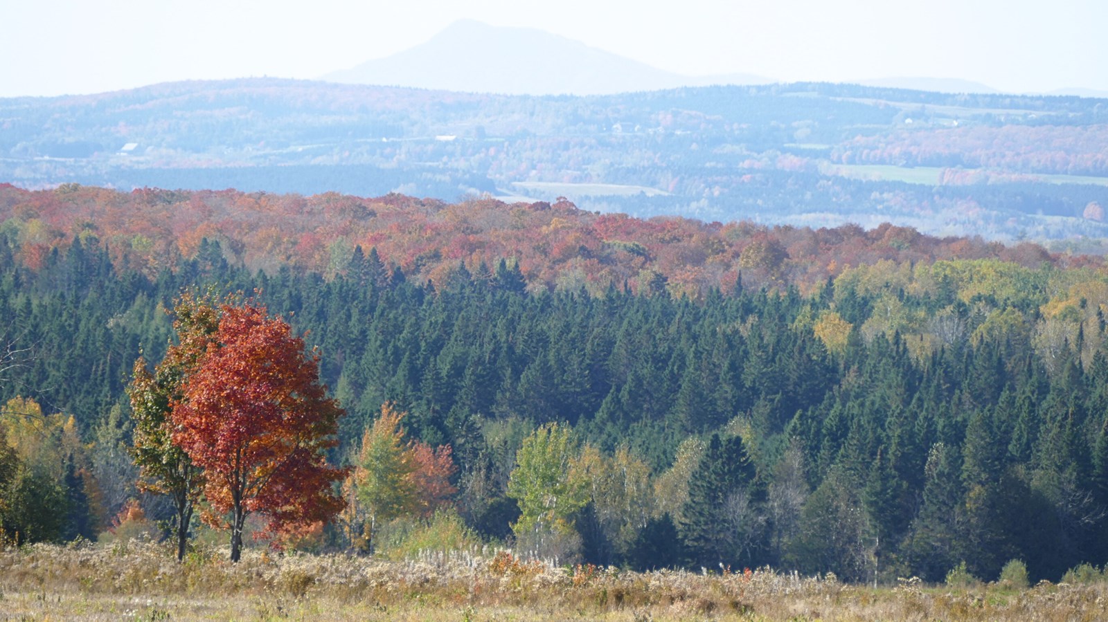 Appel à la prudence lors des activités de plein air en cette période de chasse