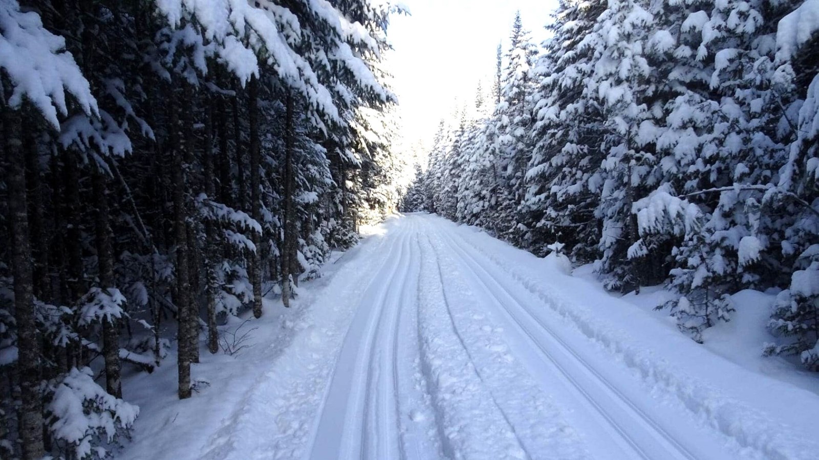 Un tout premier skiOthon à Saint-Prosper