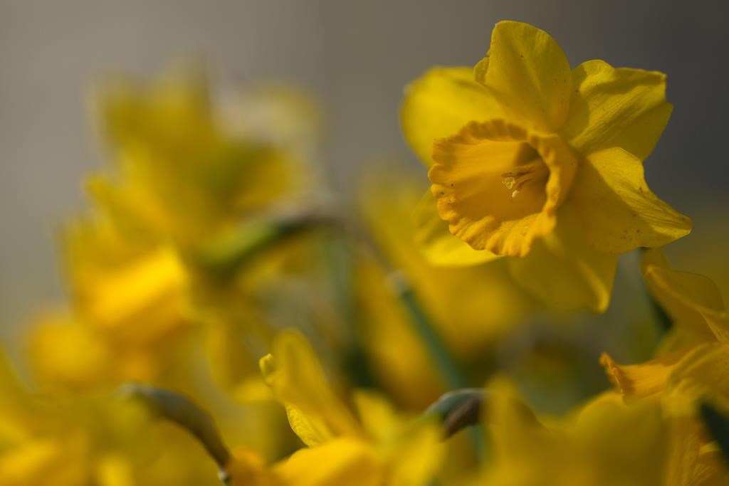Le dépistage préventif du cancer du côlon peut faire toute la différence
