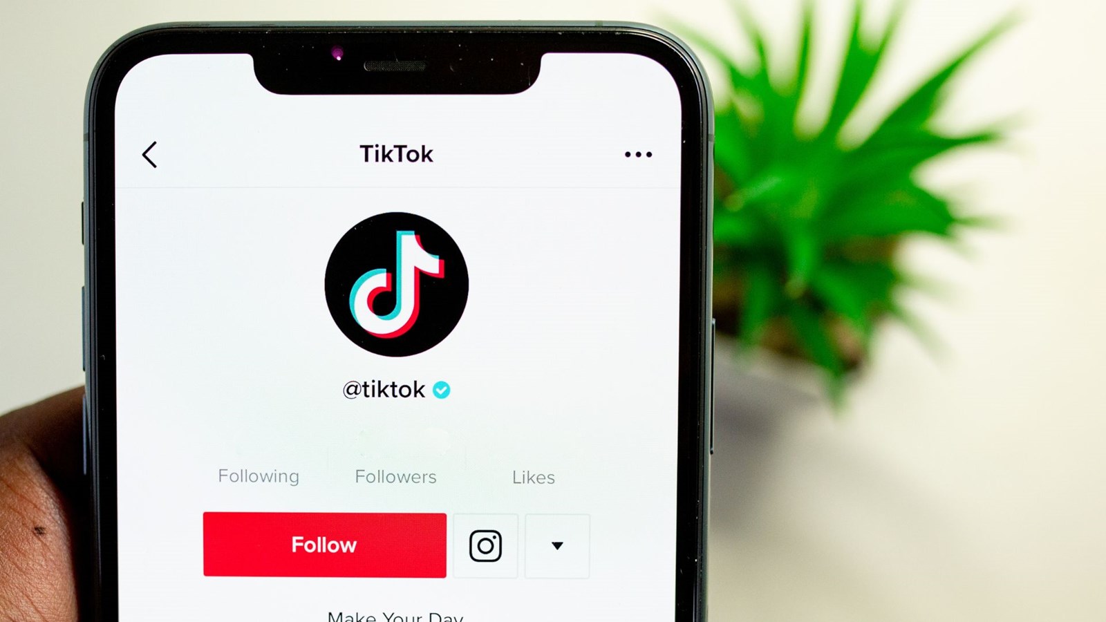 TikTok : les gens plutôt indifférents à l'application