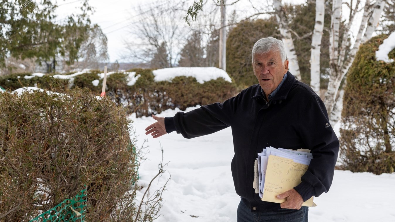 Les chevreuils dérangent à Saint-Georges