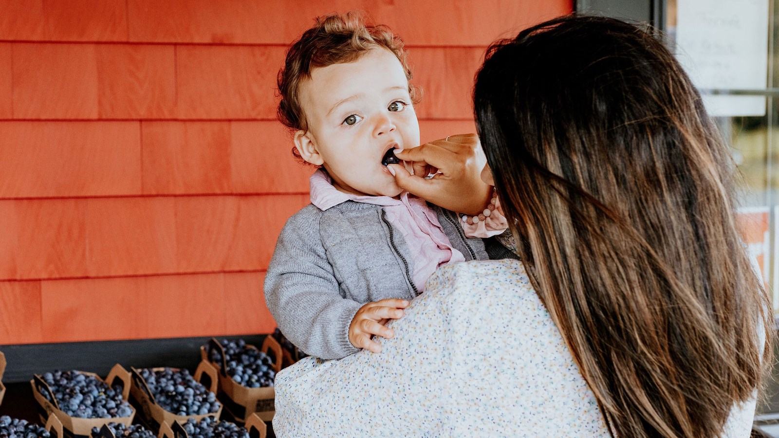 La MRC des Etchemins soutient les projets agricoles en circuit court