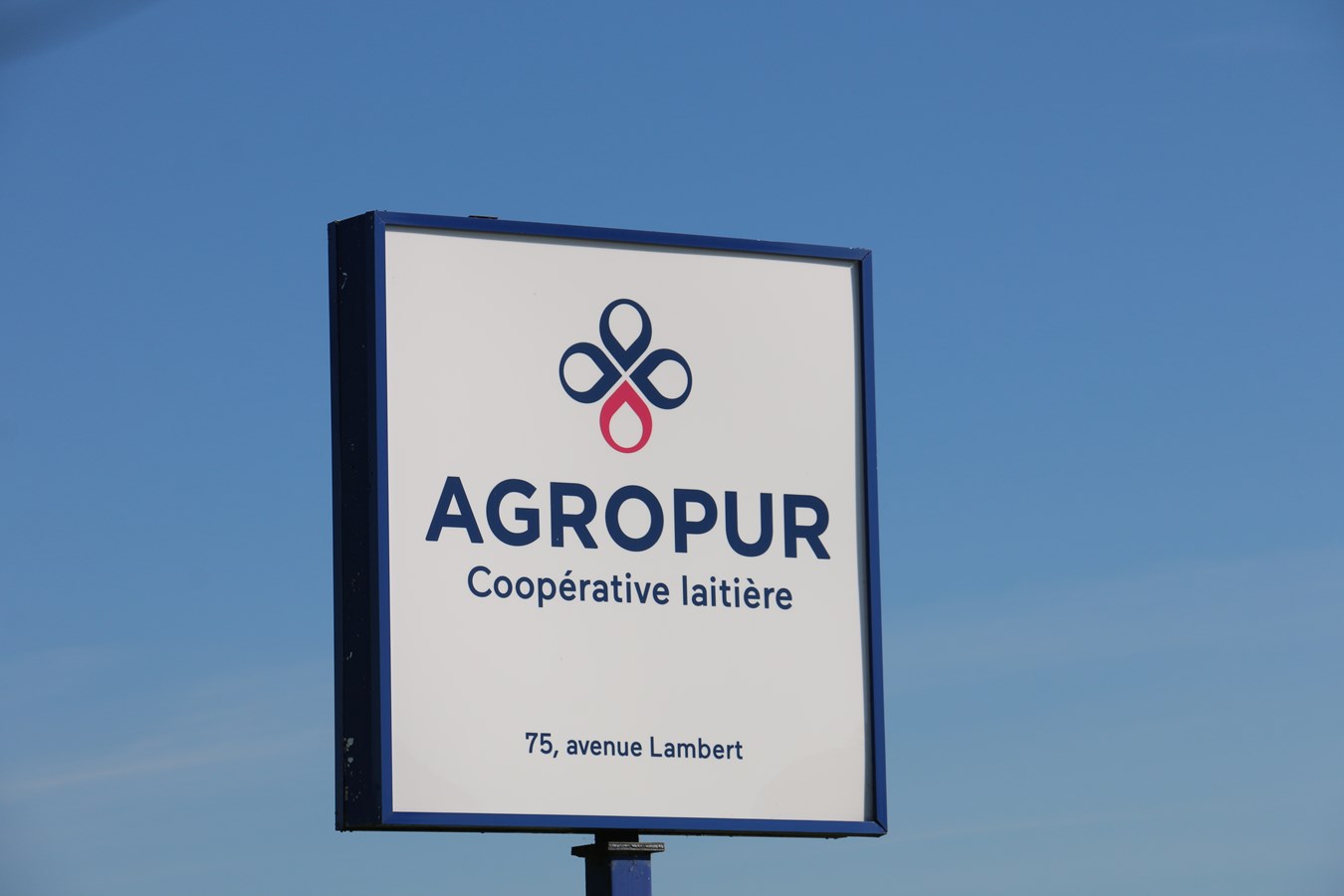 Grève chez Agropur: les salariés reprennent le travail dès aujourd'hui