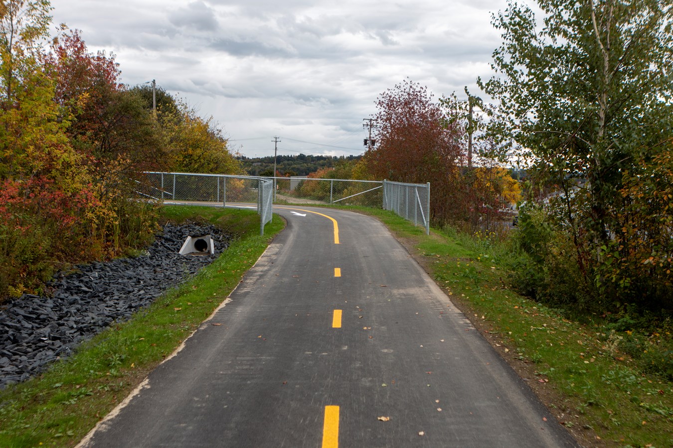 Immatriculation des vélos: 45% des répondants n'y croient pas