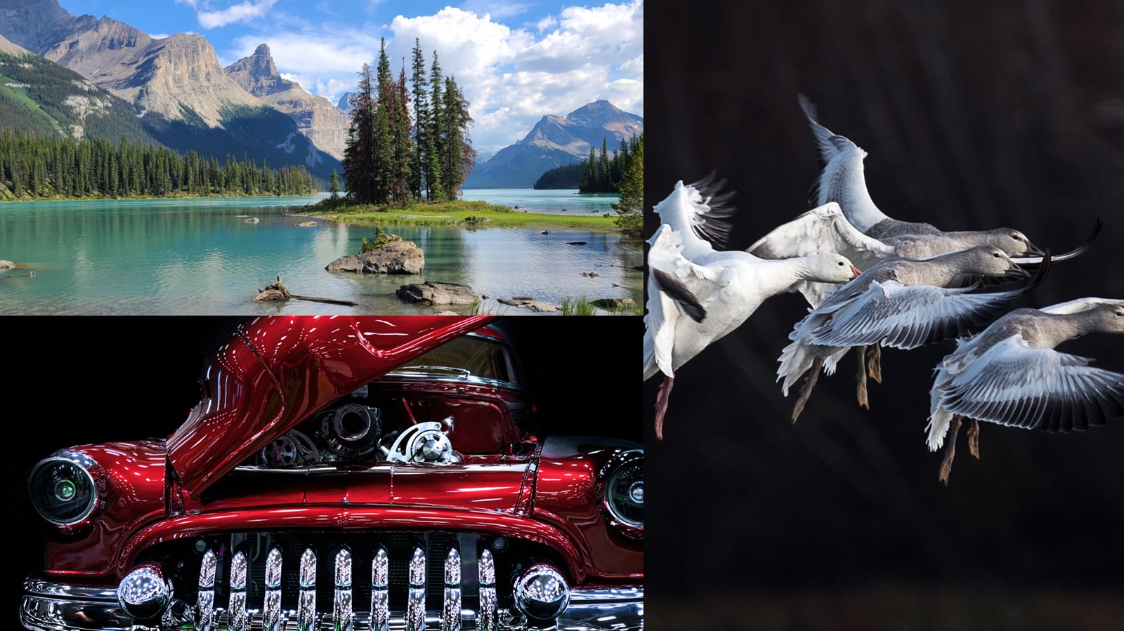 Concours de photographie: Lyne Perron remporte le 1er prix