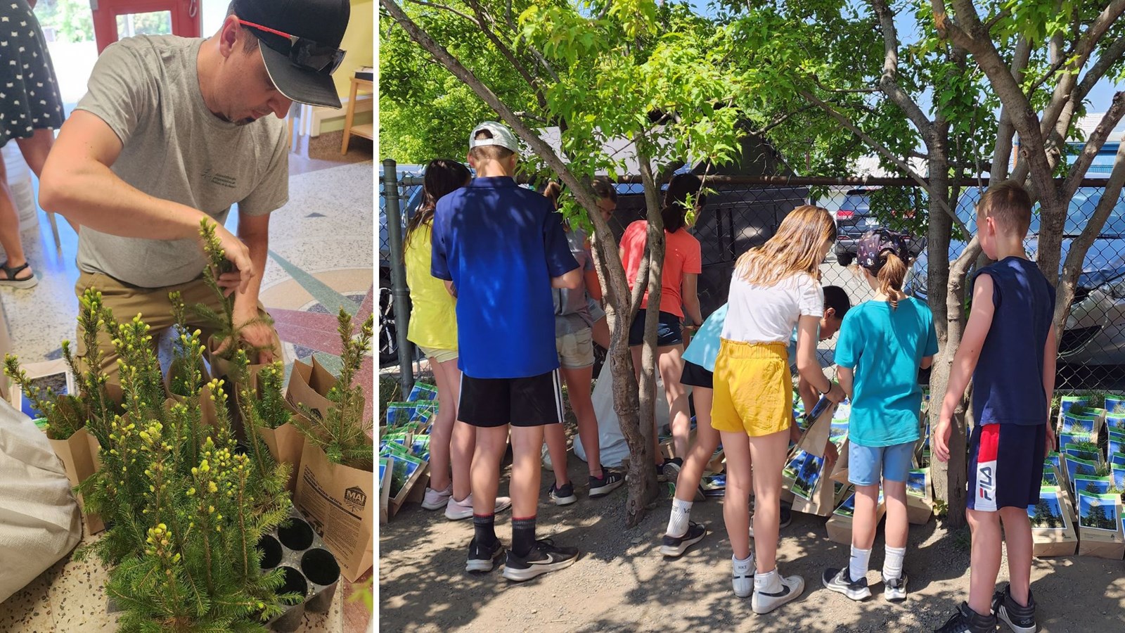 Plus de 1 500 arbres distribués dans quatre écoles de la Beauce