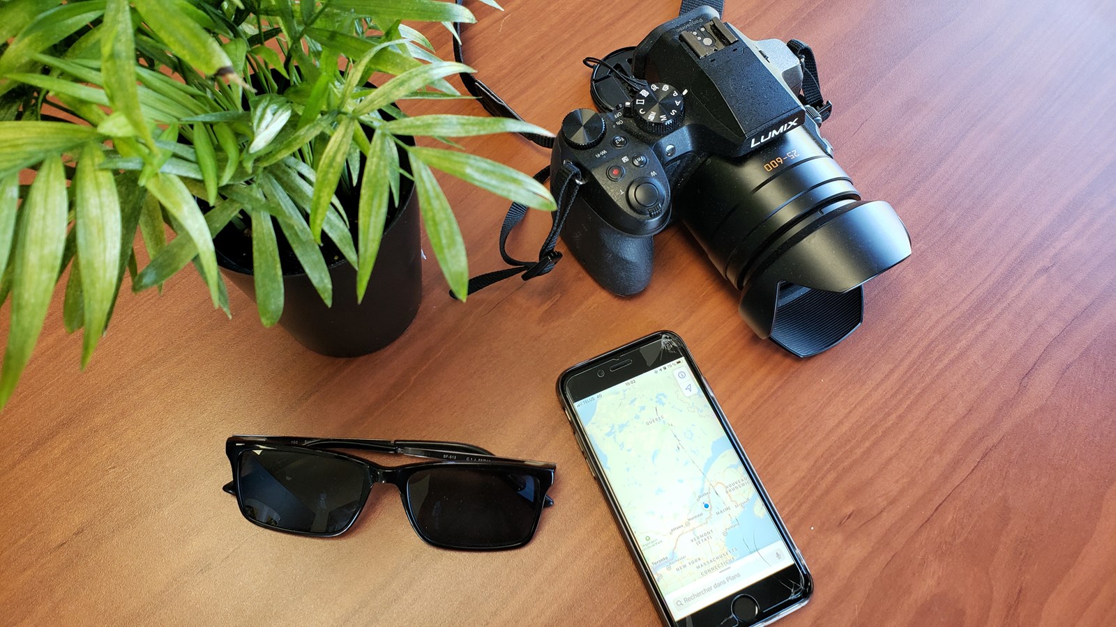 Prévoyez-vous de voyager cette année?