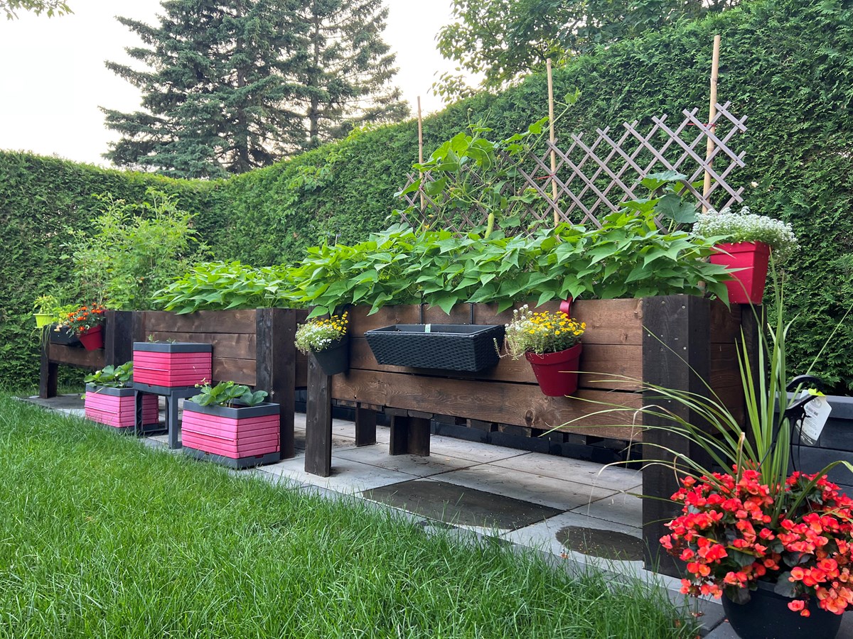 Appel photo: vos jardins et vos fleurs