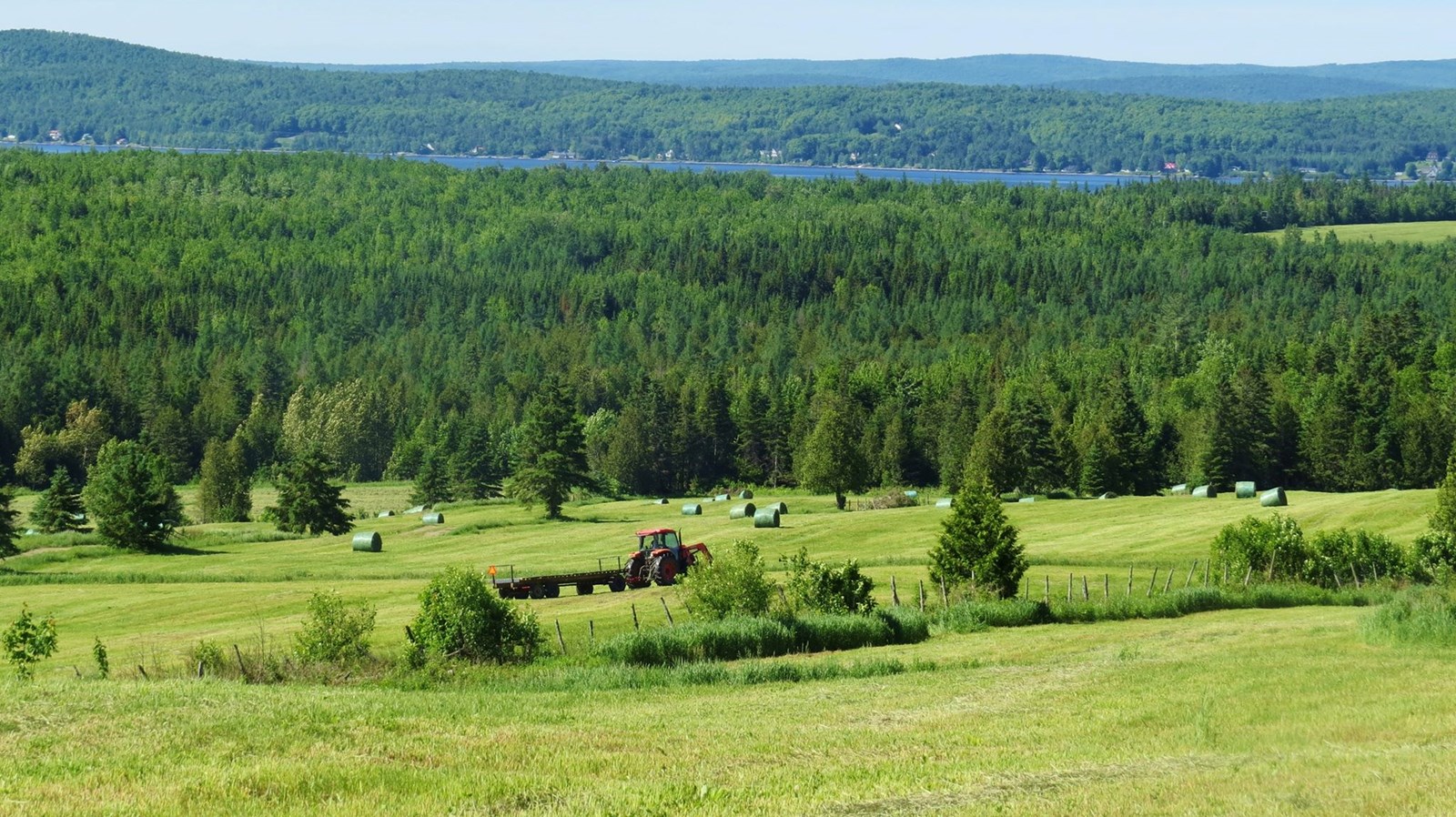 Protection du territoire agricole: une mise à jour nécessaire, selon l'UPA et les entreprises