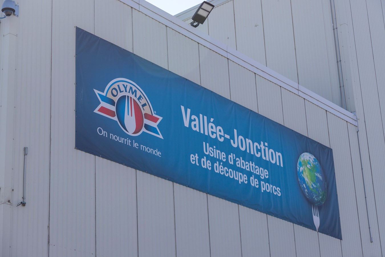 Olymel s'exprime sur son processus de relocalisation des travailleurs étrangers