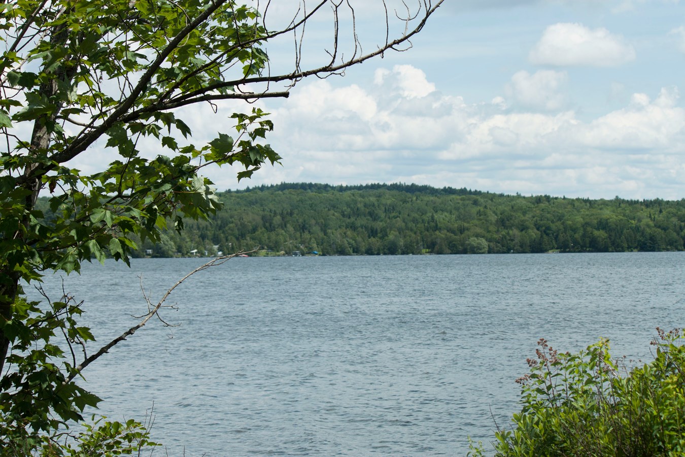 Réouverture de la plage du Lac Fortin