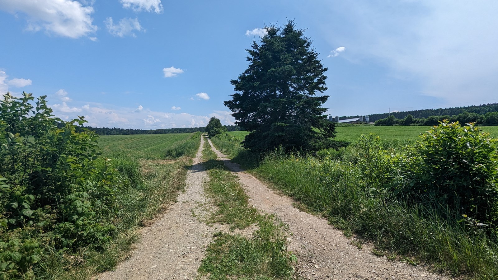 Appel de photos: la Beauce en été