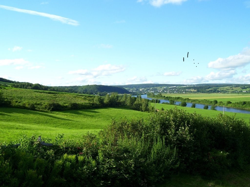 Galerie 1: la Beauce en été