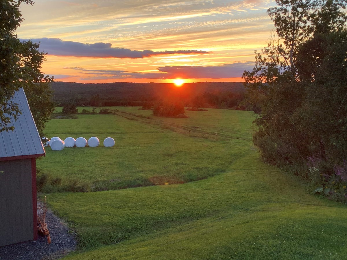 Galerie 2: la Beauce en été