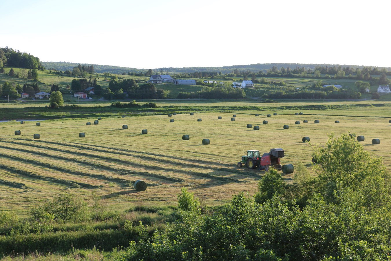 Services-conseils: Québec coupe dans l’accompagnement des entreprises agricoles  