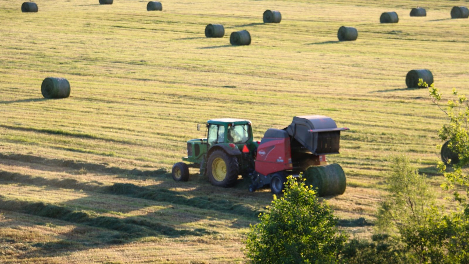 Bilan de mi-saison en assurance récolte 