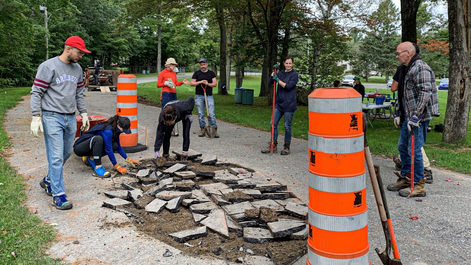 Des végétaux en place et lieu de l'asphalte
