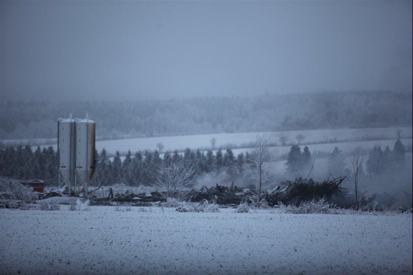 Incendie à Saint-Gédéon: la Ferme Gédésoeufs a perdu plus de 20 000 poules