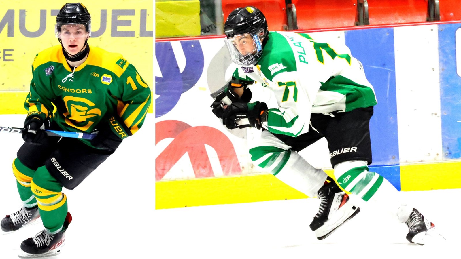 Des échanges pour ajouter de la profondeur aux Condors hockey