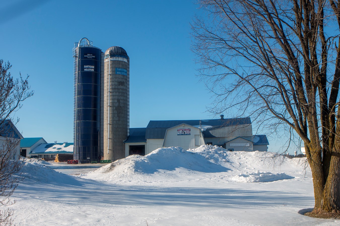 Chaudière-Appalaches forme la relève agricole