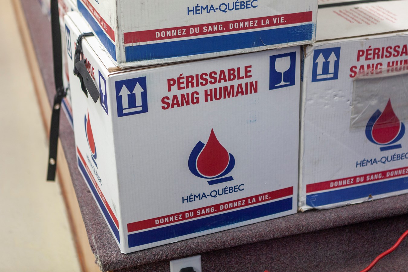 Deux collectes de sang à venir dans la région