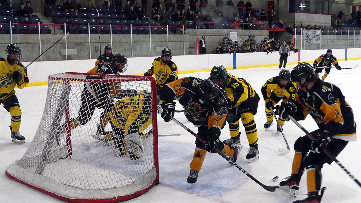 Les Chevaliers s'inclinent devant les Lions