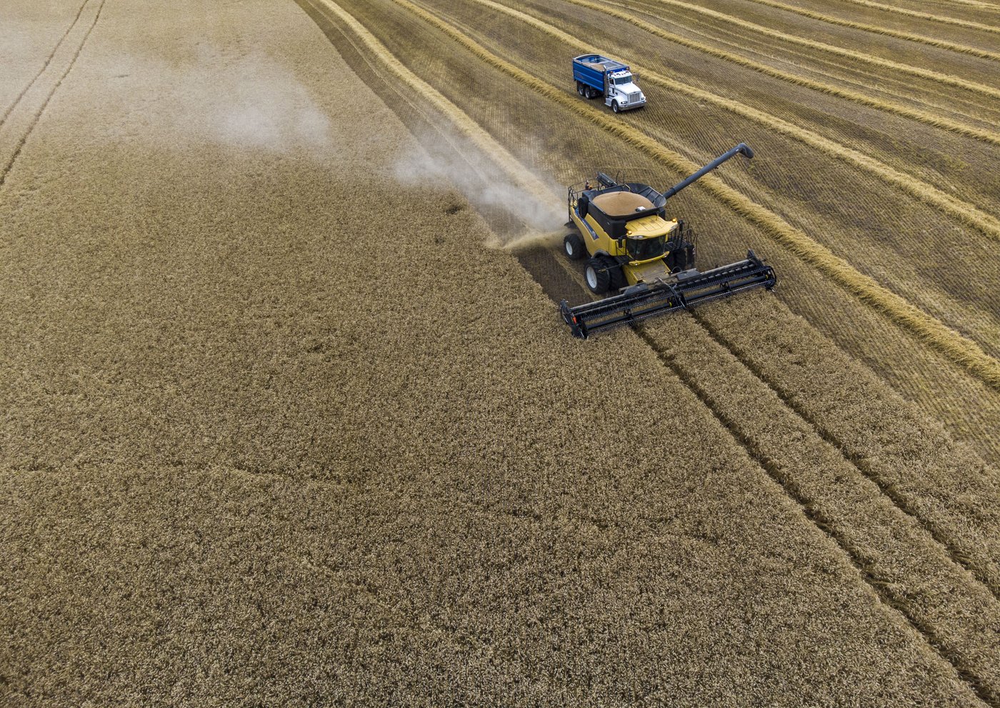 Le Canada est en voie de devenir le 3e exportateur mondial de blé