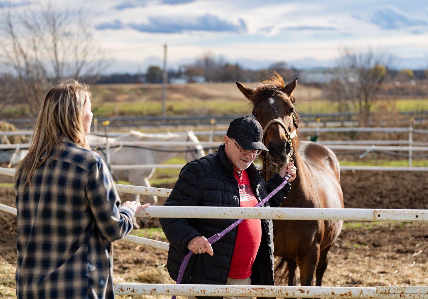 La thérapie par les chevaux utilisée pour soigner les vétérans
