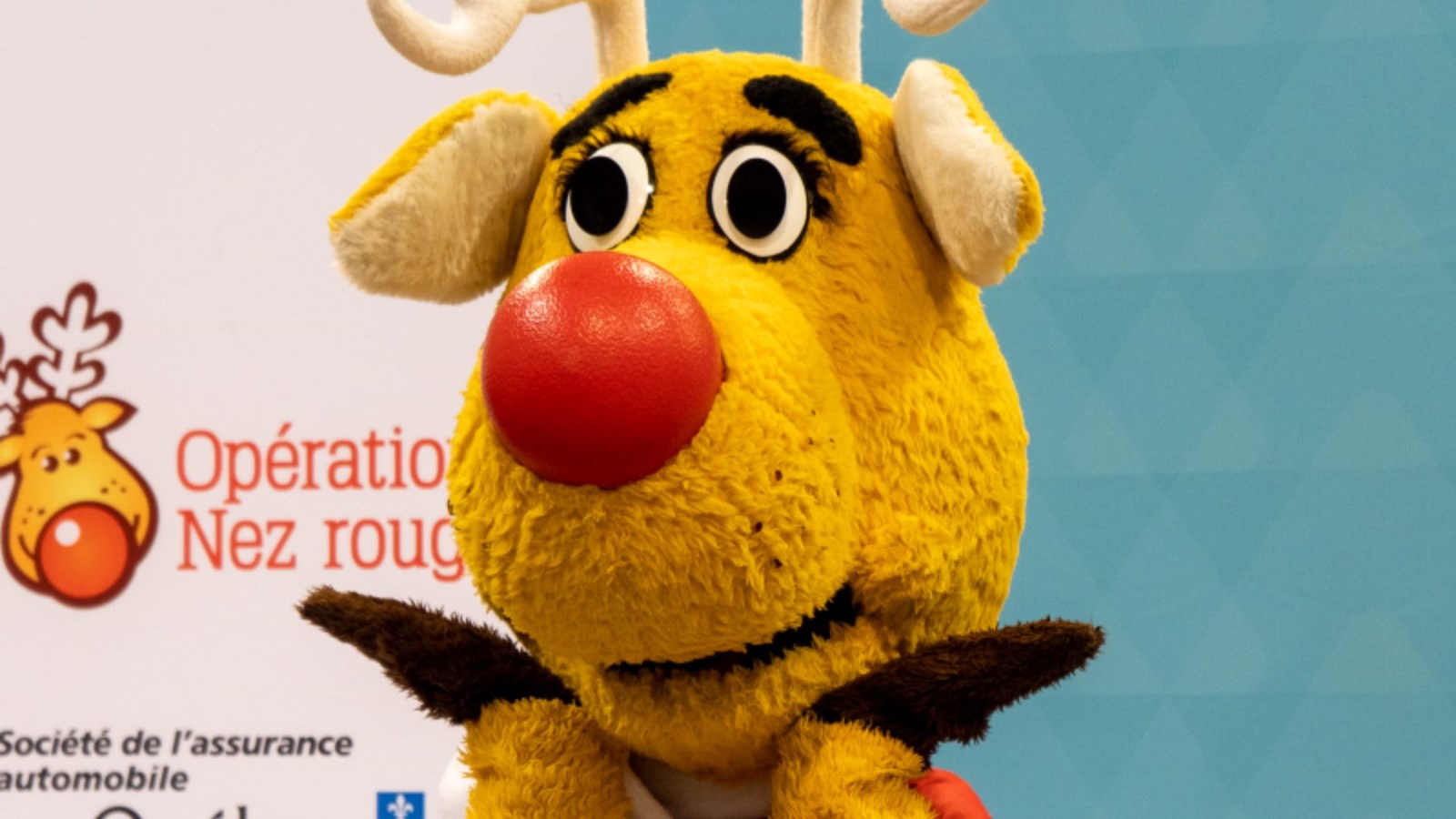 Opération Nez rouge recrute des bénévoles pour la fin de semaine