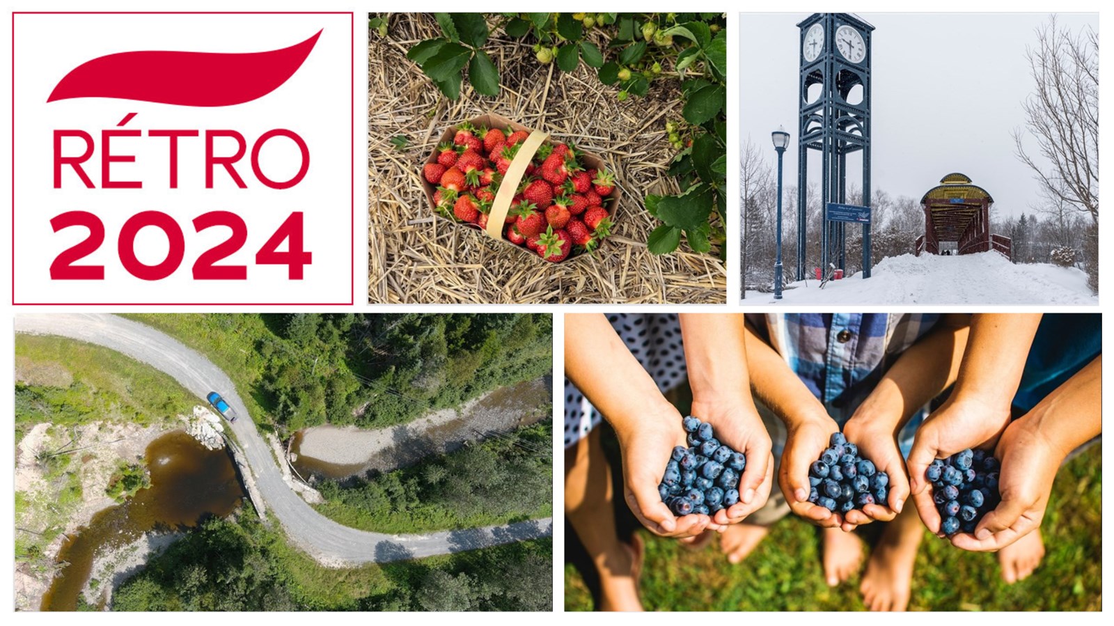 L'actualité environnementale de l'année