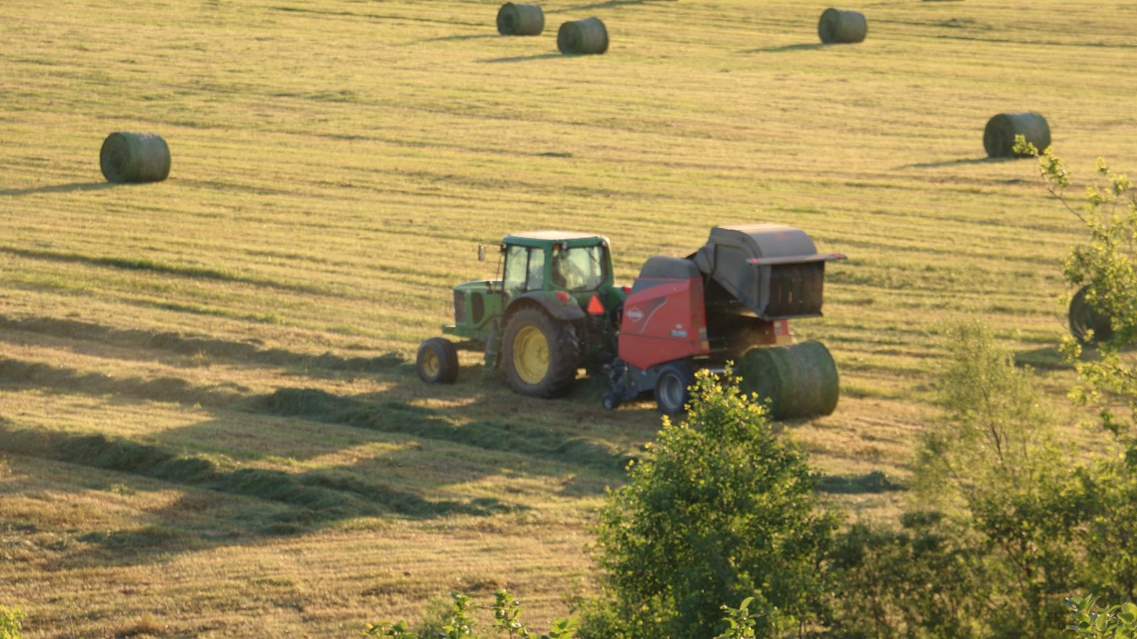 Programme d'assurance récolte: 21,2 M$ de plus pour la production de foin et de pâturages